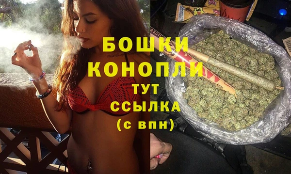 шишки Свободный
