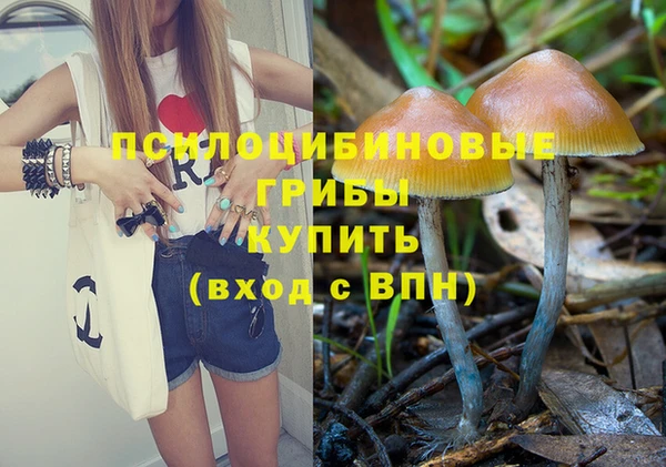 тгк Красноперекопск
