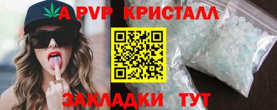 ECSTASY Канаш