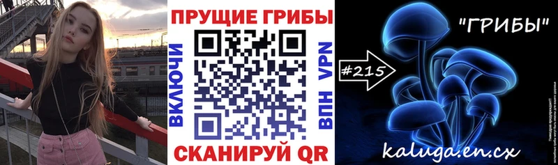 Галлюциногенные грибы прущие грибы  купить наркоту  Сунжа 