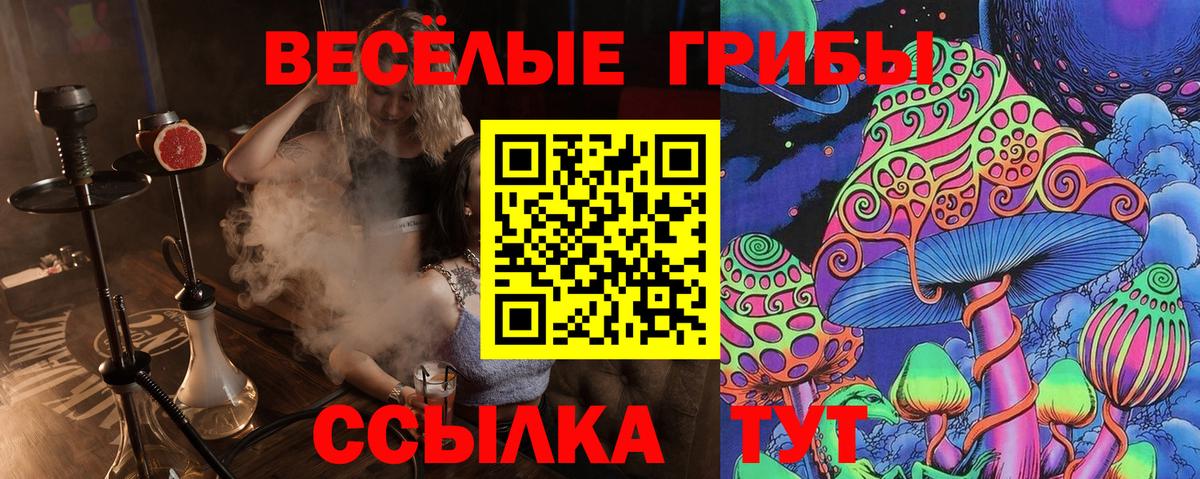 Галлюциногенные грибы ЛСД  Вход с VPN  Сунжа 