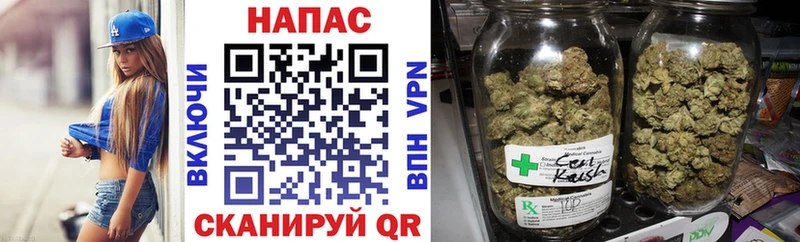 закладка  Сунжа  Каннабис план 